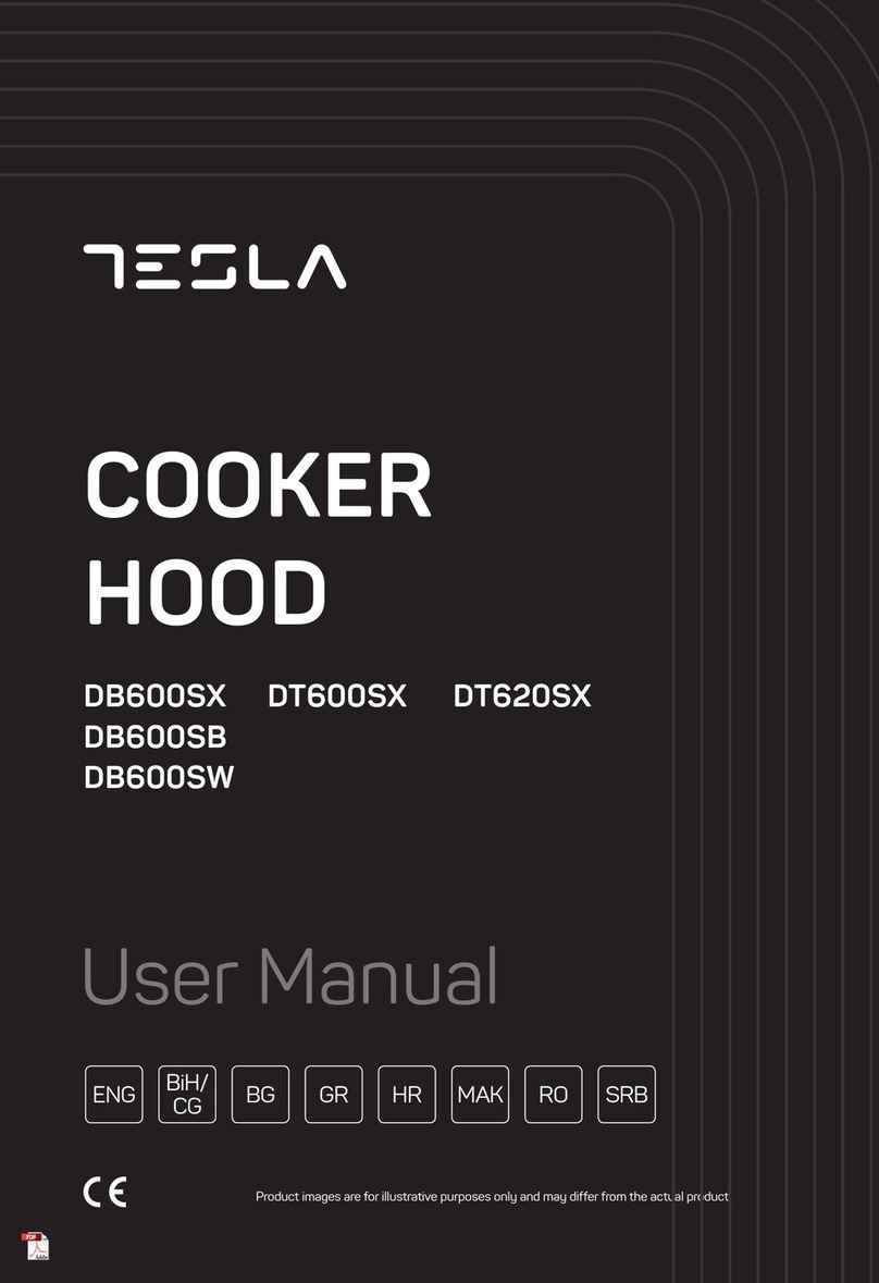 Tesla DB600SB Manuel utilisateur