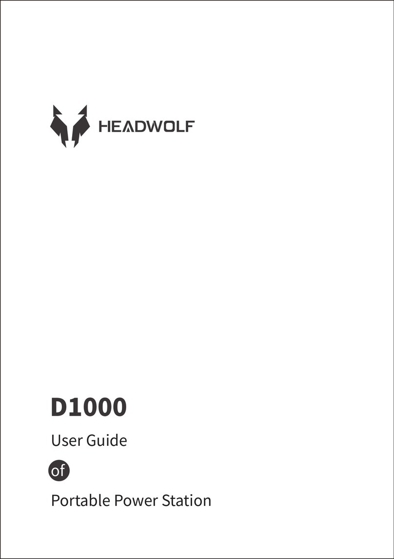 HEADWOLF D1000 Manuel utilisateur