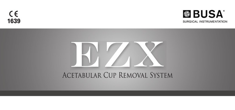 Busa EZX Manuel utilisateur