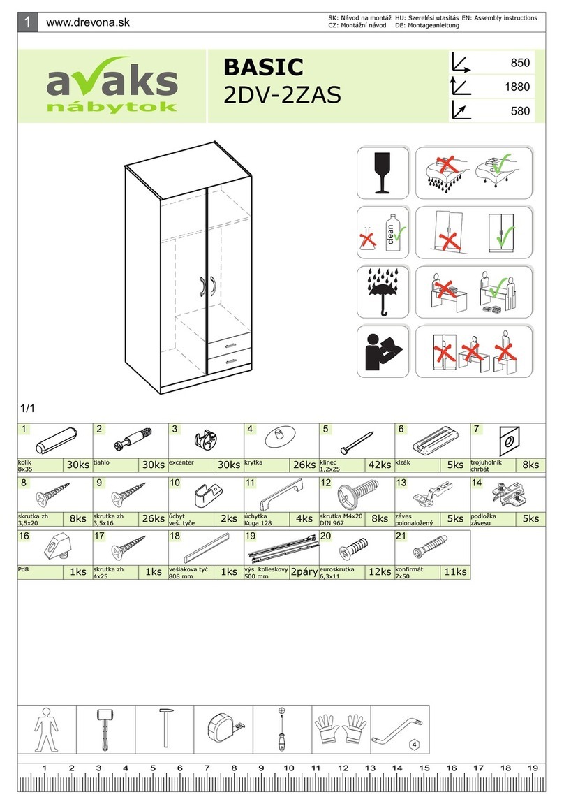 avaks BASIC 2DV-2ZAS Manuel utilisateur