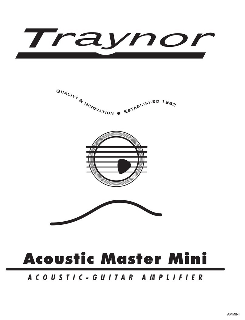 Traynor Acoustic Master Mini Manuel utilisateur