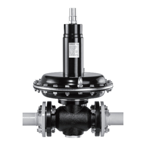 Dungs FRM 100065 Manuel utilisateur