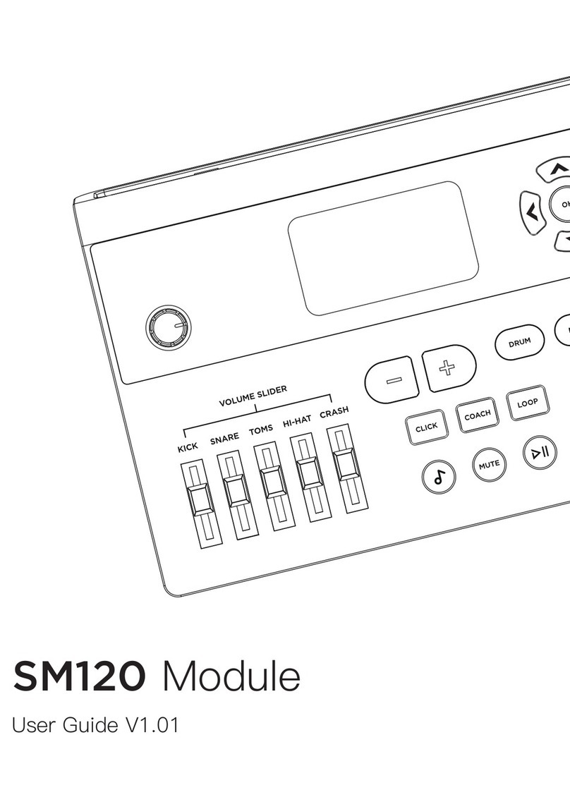 SINAMICS SM120 Manuel utilisateur