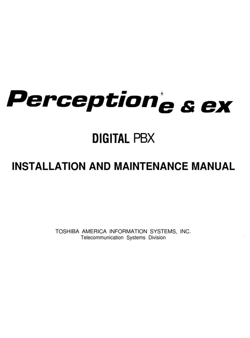 Toshiba Perfecptione Manuel