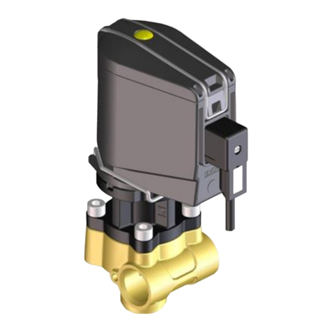 Braglia M202 Guide de démarrage rapide