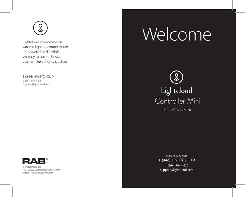 RAB Lightcloud Controller Mini Manuel utilisateur