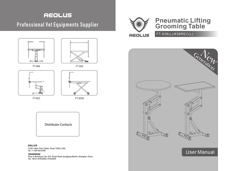 aeolus FT-838 Manuel utilisateur