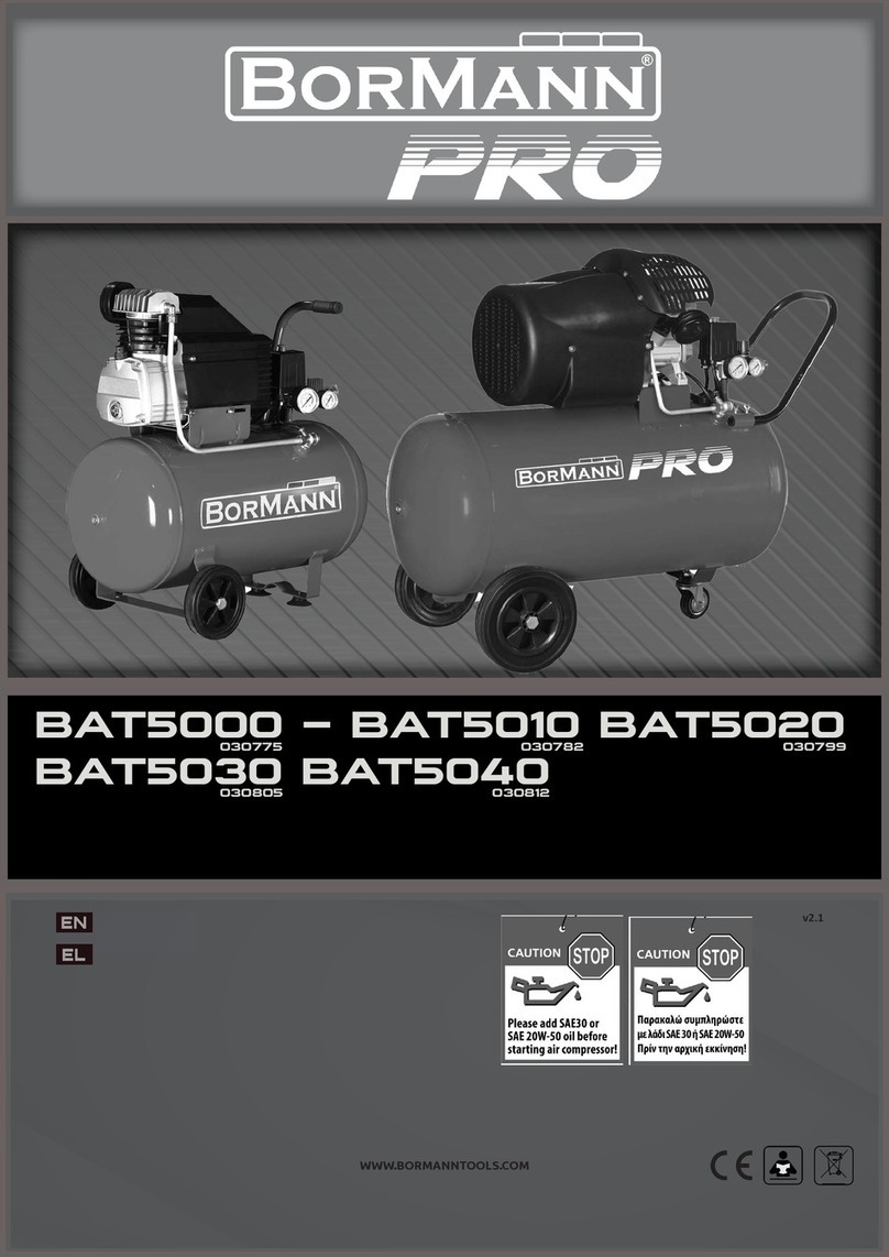 BorMann PRO BAT5000 Manuel utilisateur