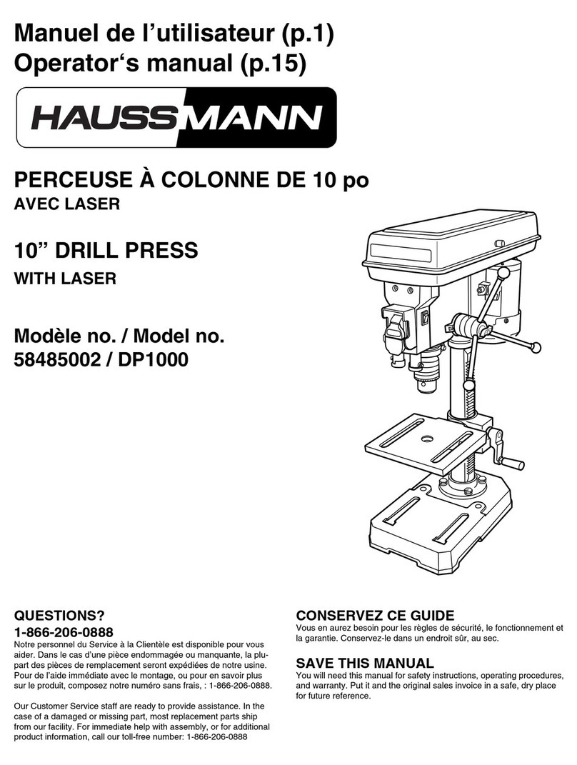 Haussmann DP1000 Manuel utilisateur