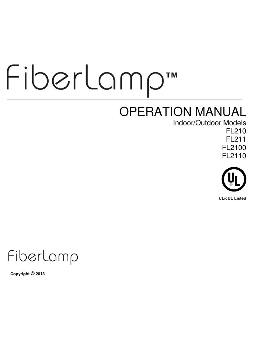FiberLamp FL210 Manuel utilisateur