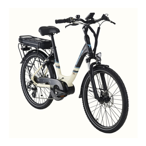 wayscral EVERYWAY E-300 Manuel utilisateur