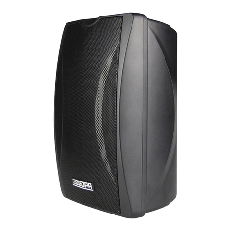 DSPPA DSP8062 Manuel utilisateur DSPPA DSP8062 Manuel utilisateur