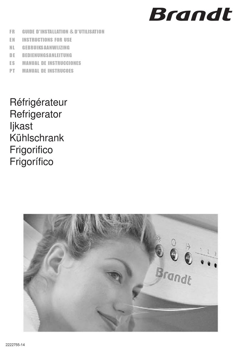 Brandt SA 1650 E Manuel utilisateur