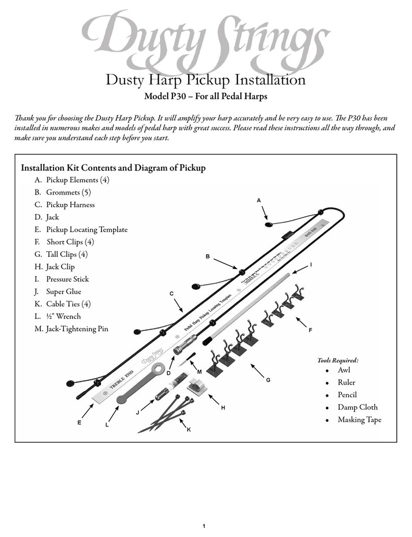 Dusty Strings P30 Manuel utilisateur