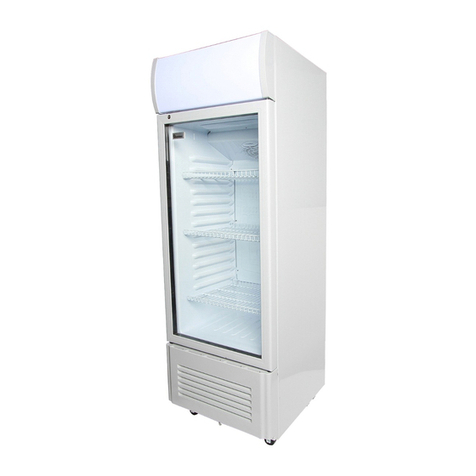 RAMTONS CF/200 Manuel utilisateur