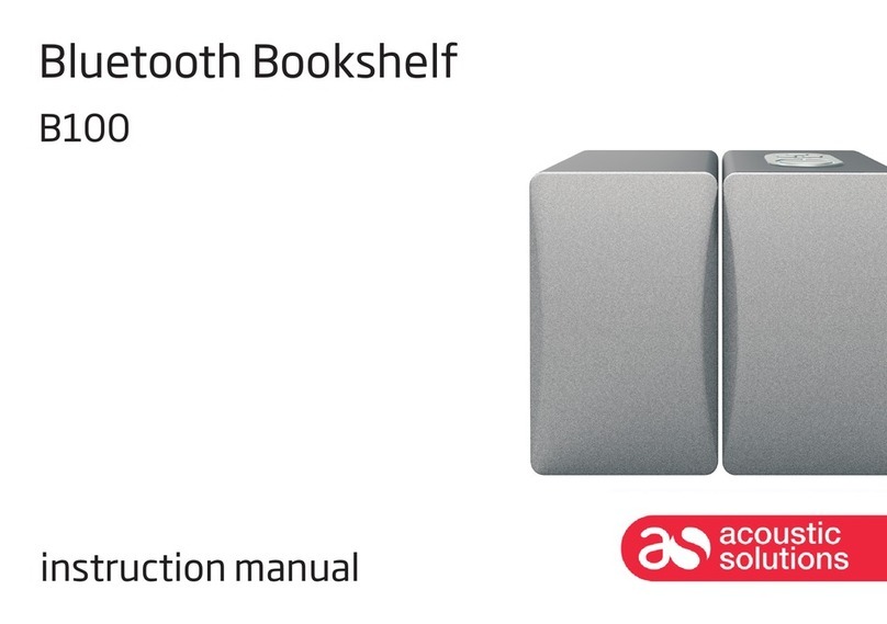 ACOUSTIC SOLUTIONS B100 Manuel utilisateur ACOUSTIC SOLUTIONS B100 Manuel utilisateur