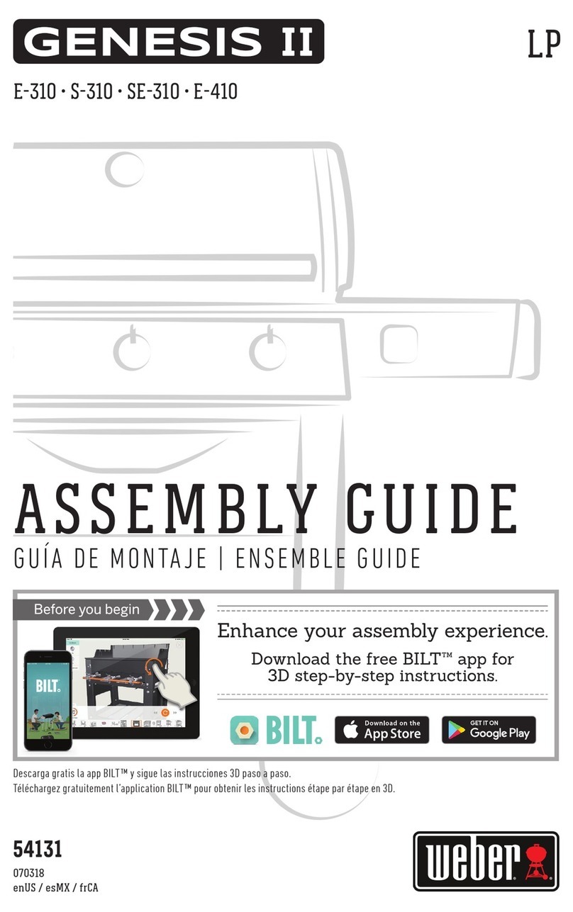 GENESIS II E-310 Manuel utilisateur