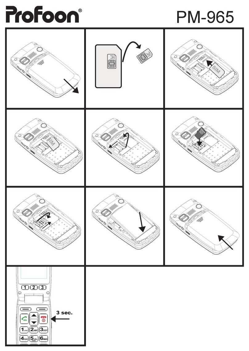 Profoon PM-965 Manuel utilisateur