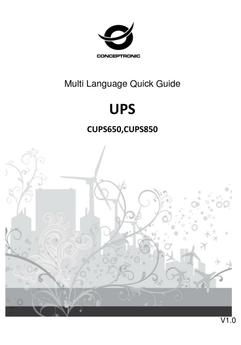 Conceptronic CUPS650 Manuel utilisateur