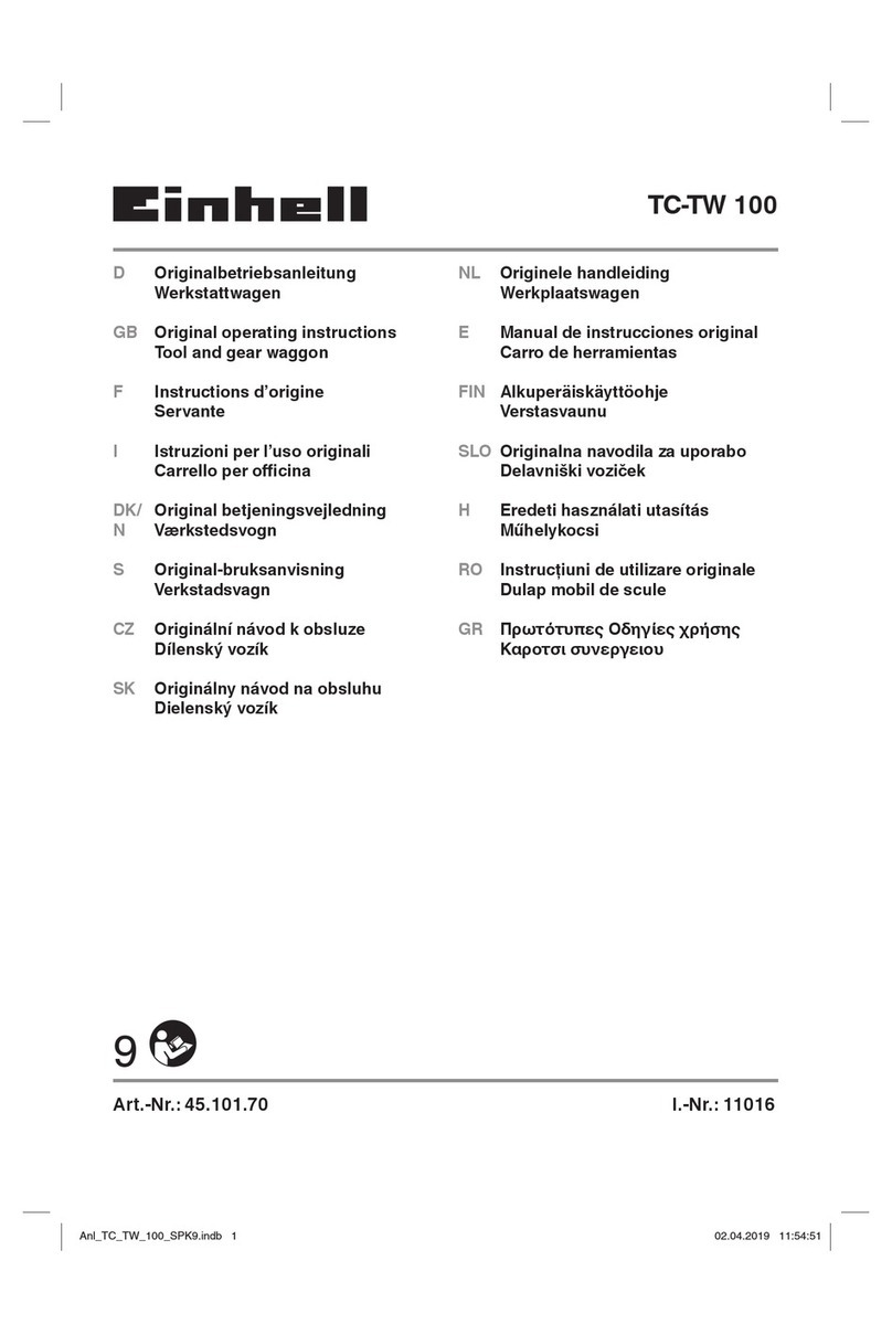 EINHELL TC-TW 100 Manuel utilisateur