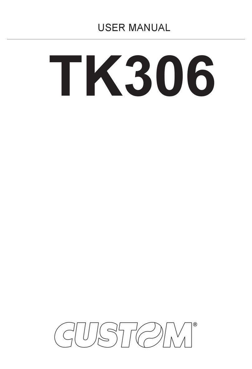Custom Audio Electronics TK306 Manuel utilisateur