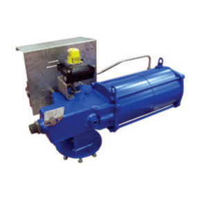 BIFFI RPS Manuel utilisateur