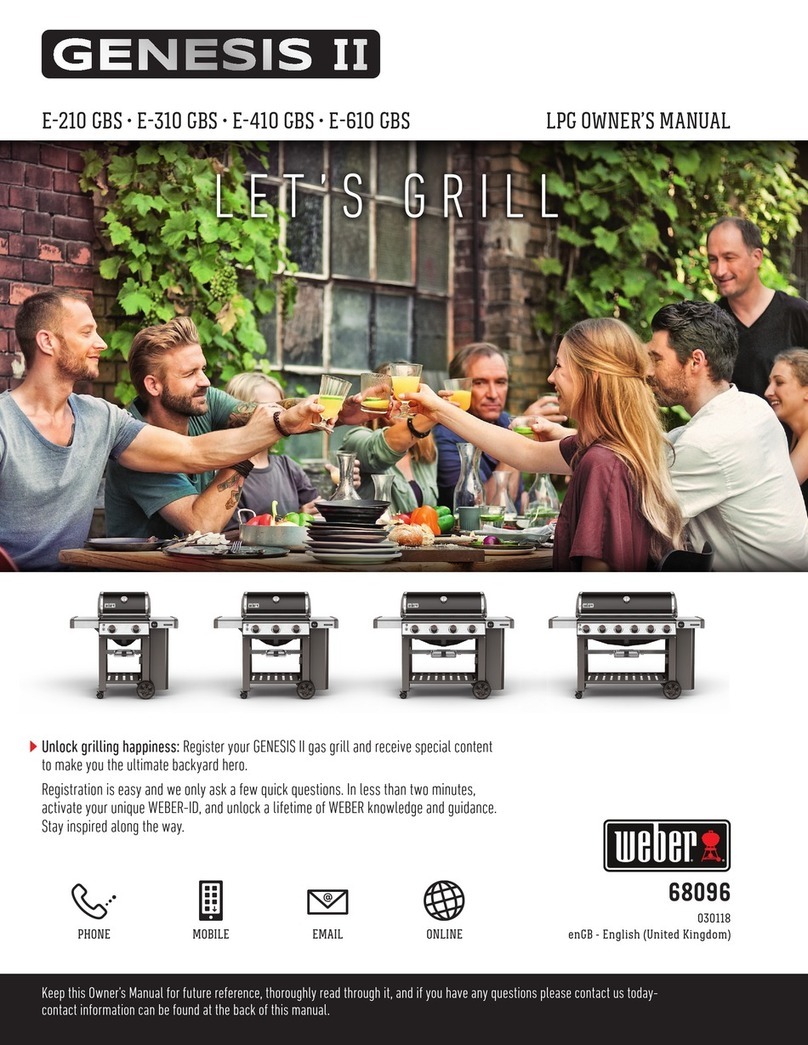 Weber Spirit E-210 GBS Manuel utilisateur