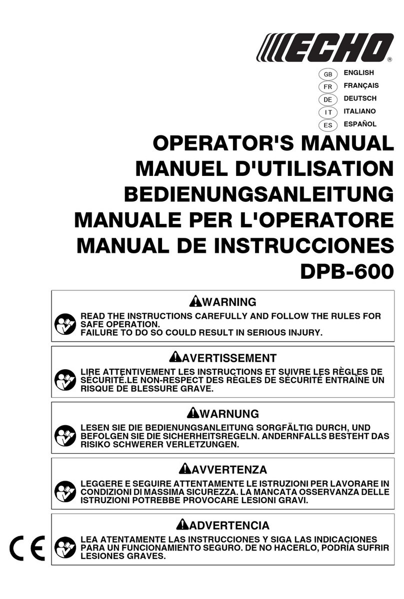 Echo DPB-600 Manuel utilisateur