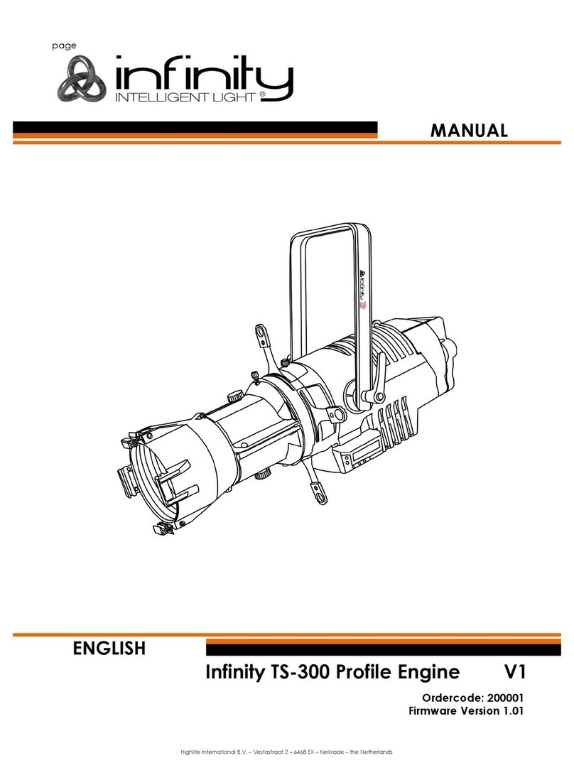 Infinity TS-300 Manuel utilisateur