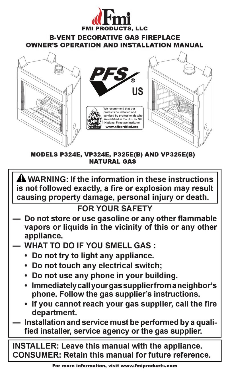 FMI P325E(B) Fiche technique