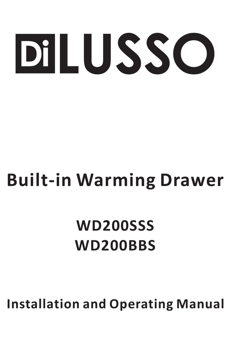 diLUSSO WD200SSS Manuel utilisateur