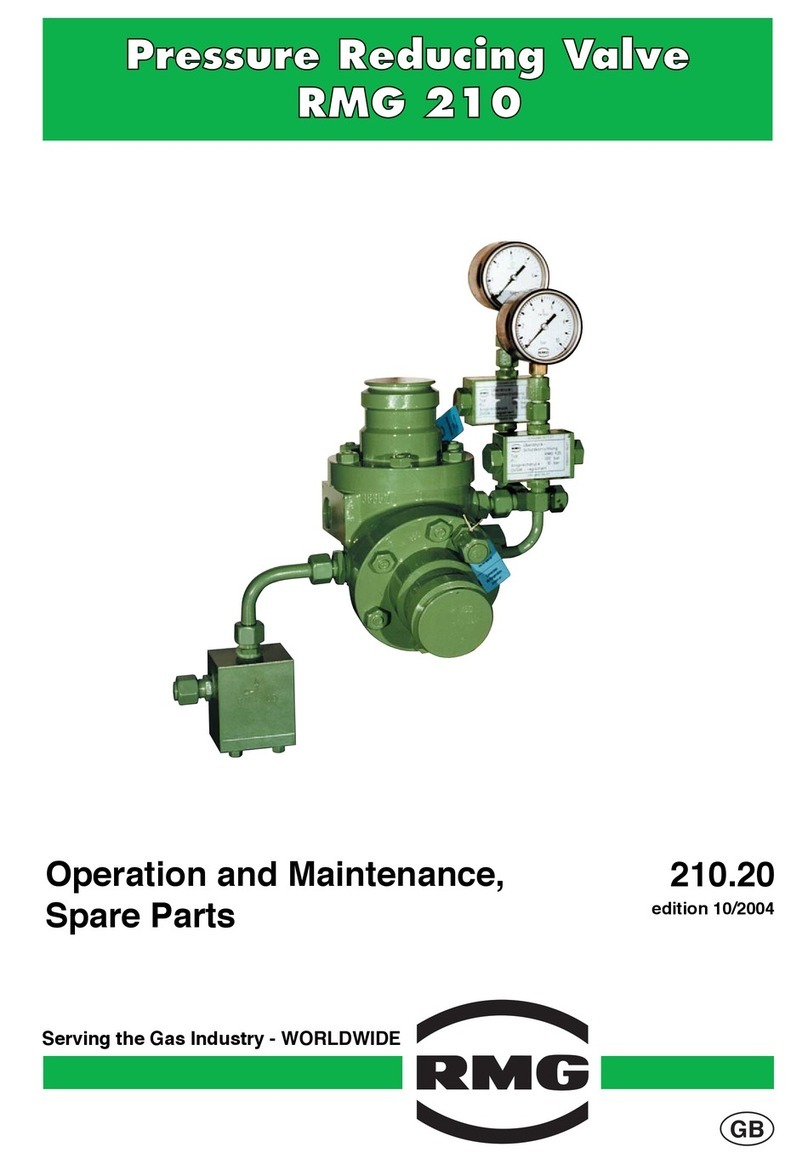 RMG 210 Mode d’emploi