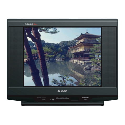Sharp 21ES251E Manuel utilisateur