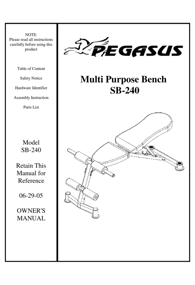 Pegasus SB-240 Manuel utilisateur Pegasus SB-240 Manuel utilisateur