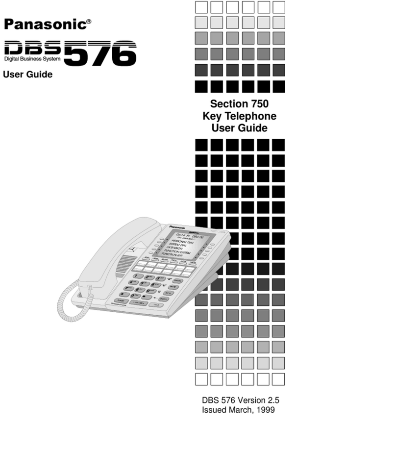 Panasonic DBS 576 Manuel utilisateur
