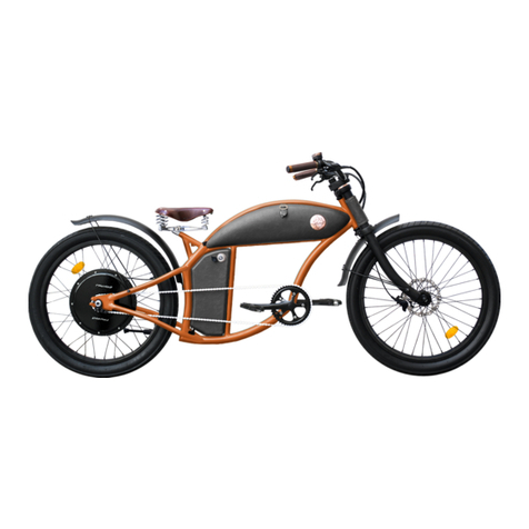 RAYVOLT CRUISER Manuel utilisateur