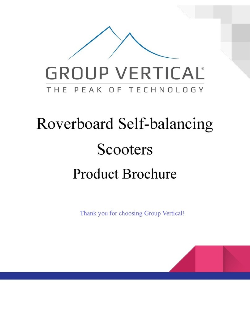 Group Vertical Self-Balancing Scooter Manuel utilisateur