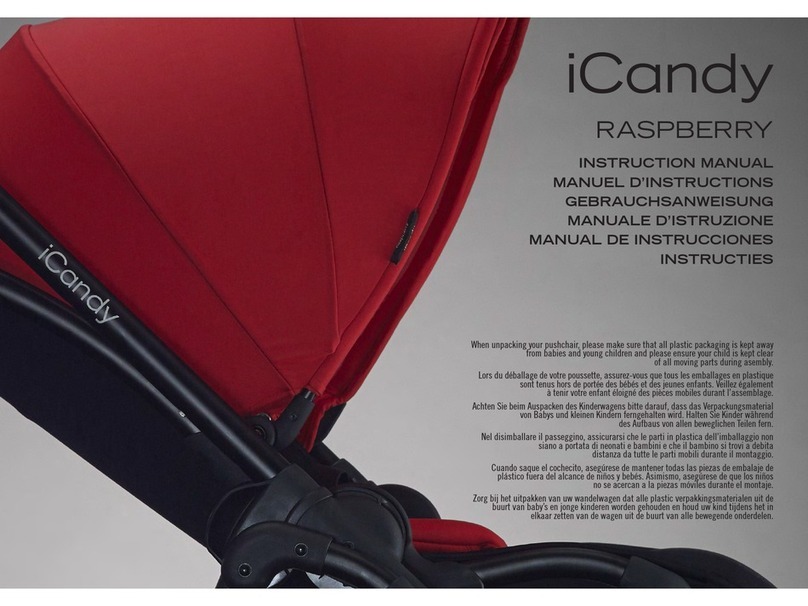iCandy RASPBERRY Manuel utilisateur