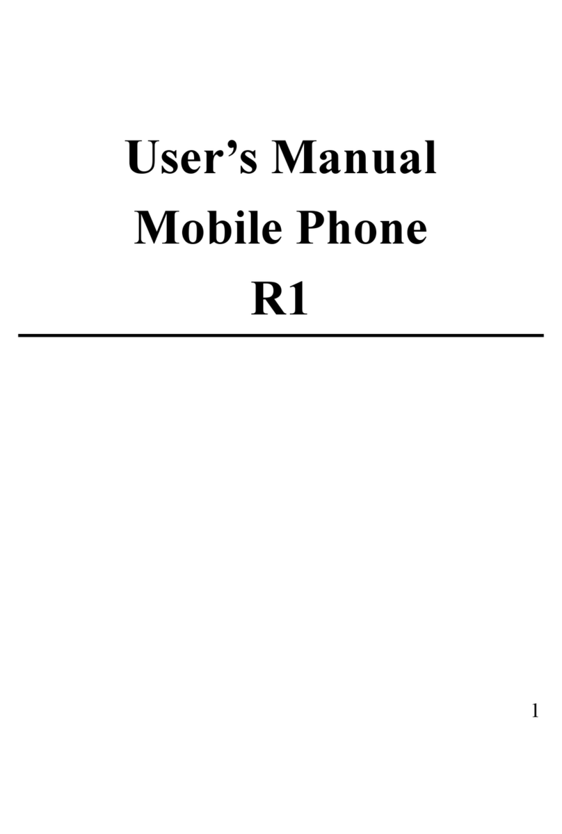 GSM GLOBE.COM R1 Manuel utilisateur