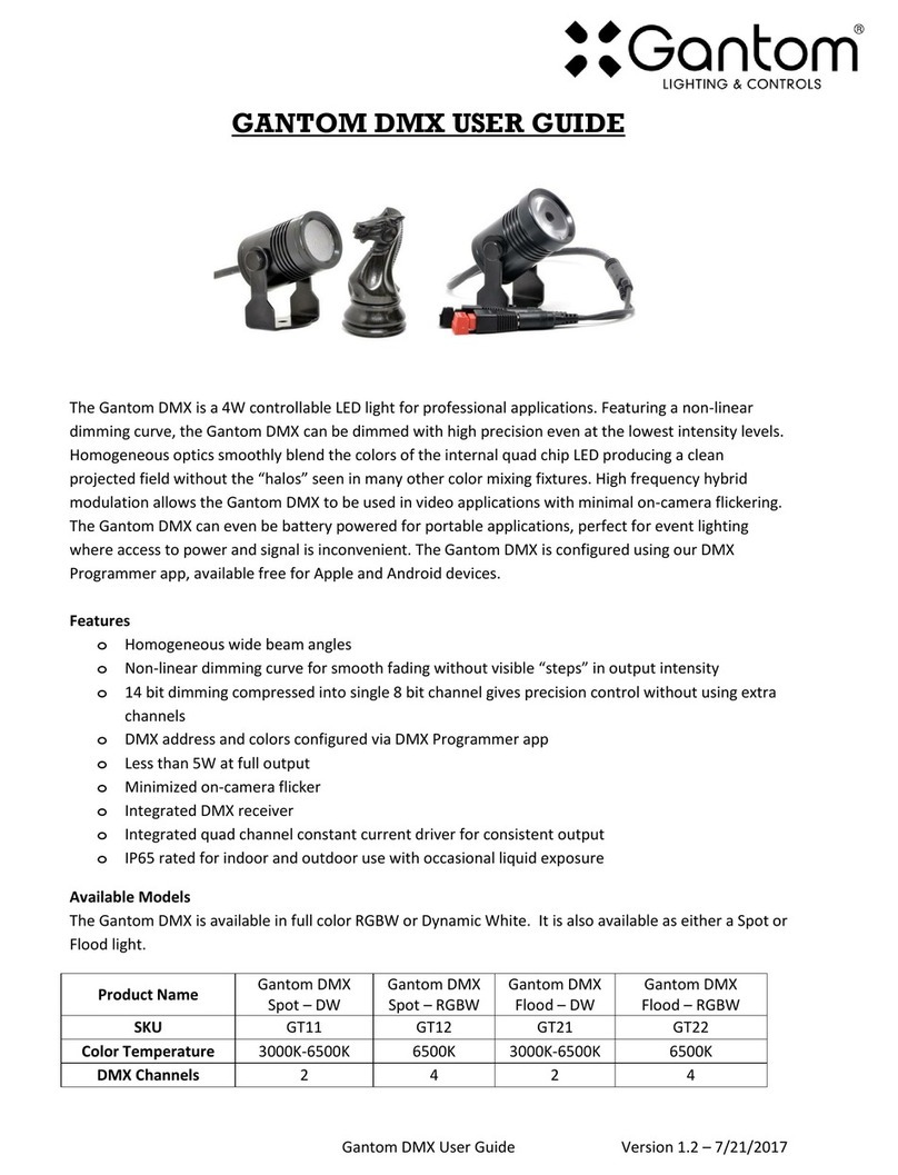 Gantom GT11 Manuel utilisateur