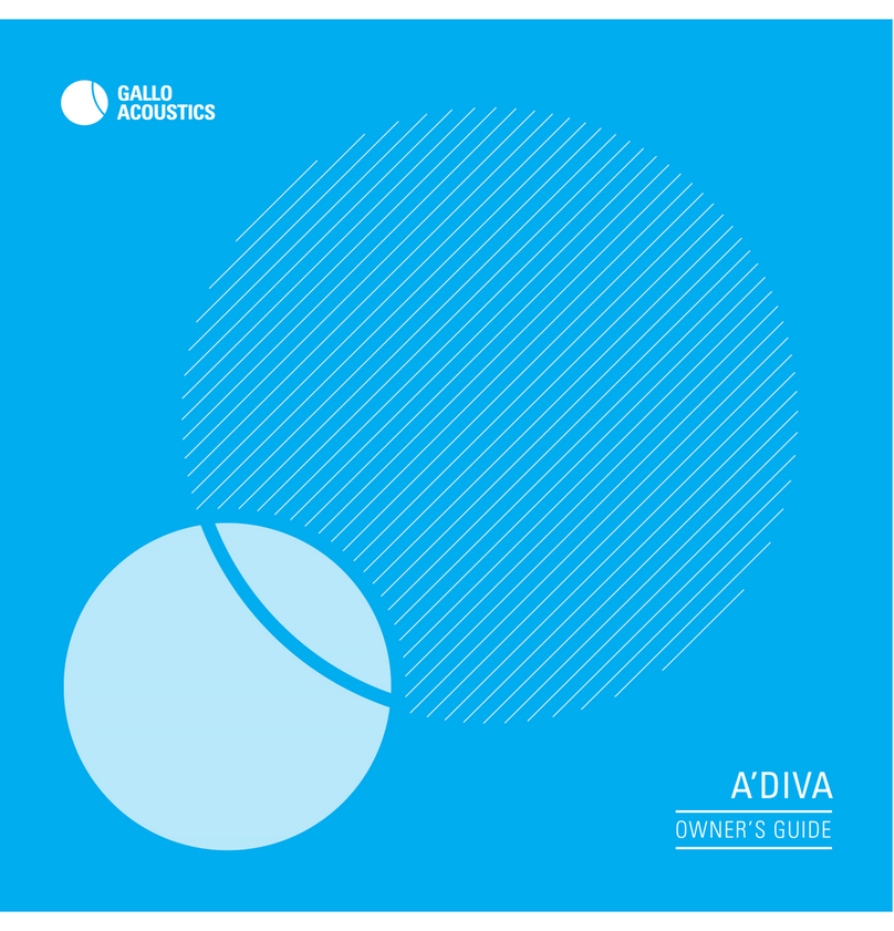 Gallo A'DIVA Manuel utilisateur
