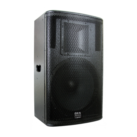 Gemini GVX-10P Manuel utilisateur