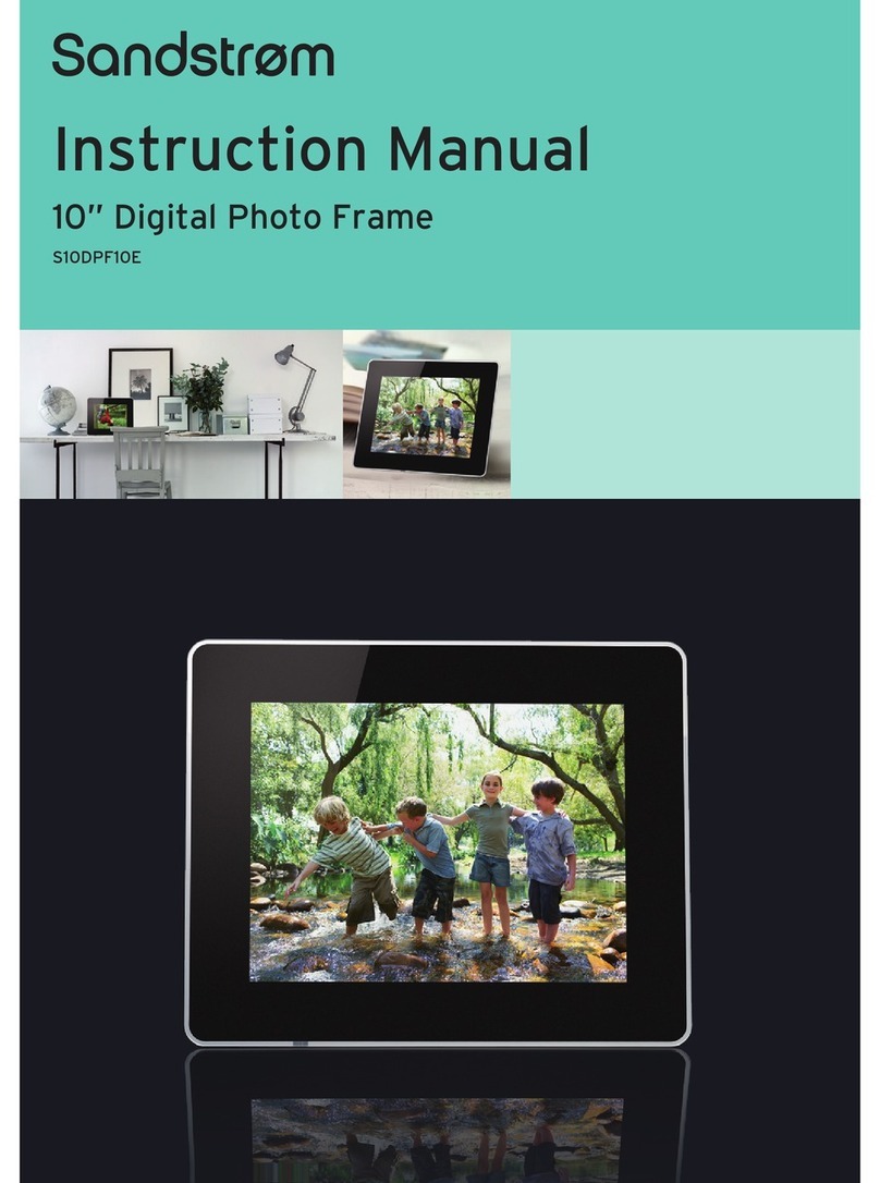 Sandstorm S10DPF10E Manuel utilisateur