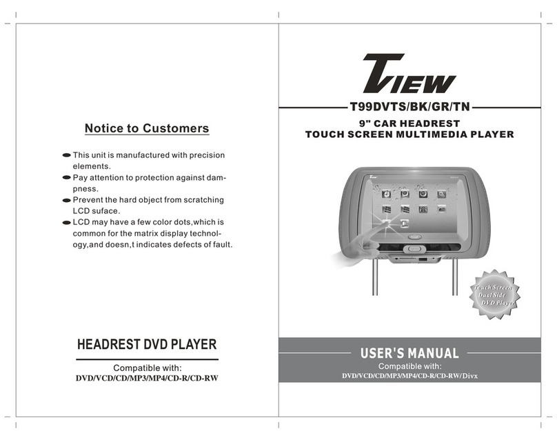 Tiew T99DVTS Manuel utilisateur