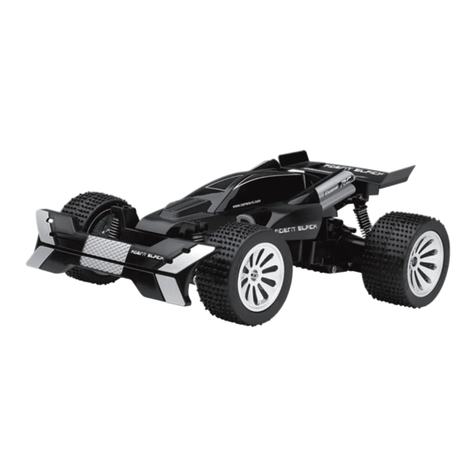 Carrera RC Manuel utilisateur