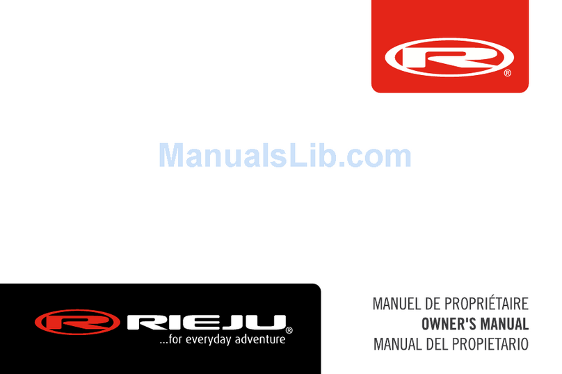 RIEJU MARATHON 250 Manuel utilisateur