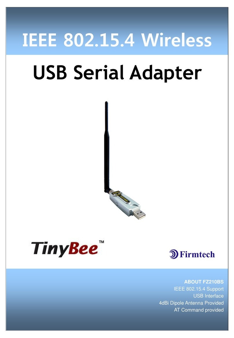 Firmtech TinyBee FZ210BS Manuel utilisateur