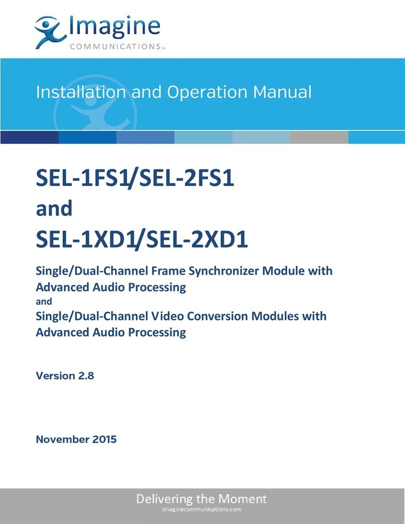 Imagine SEL-2FS1 Manuel utilisateur