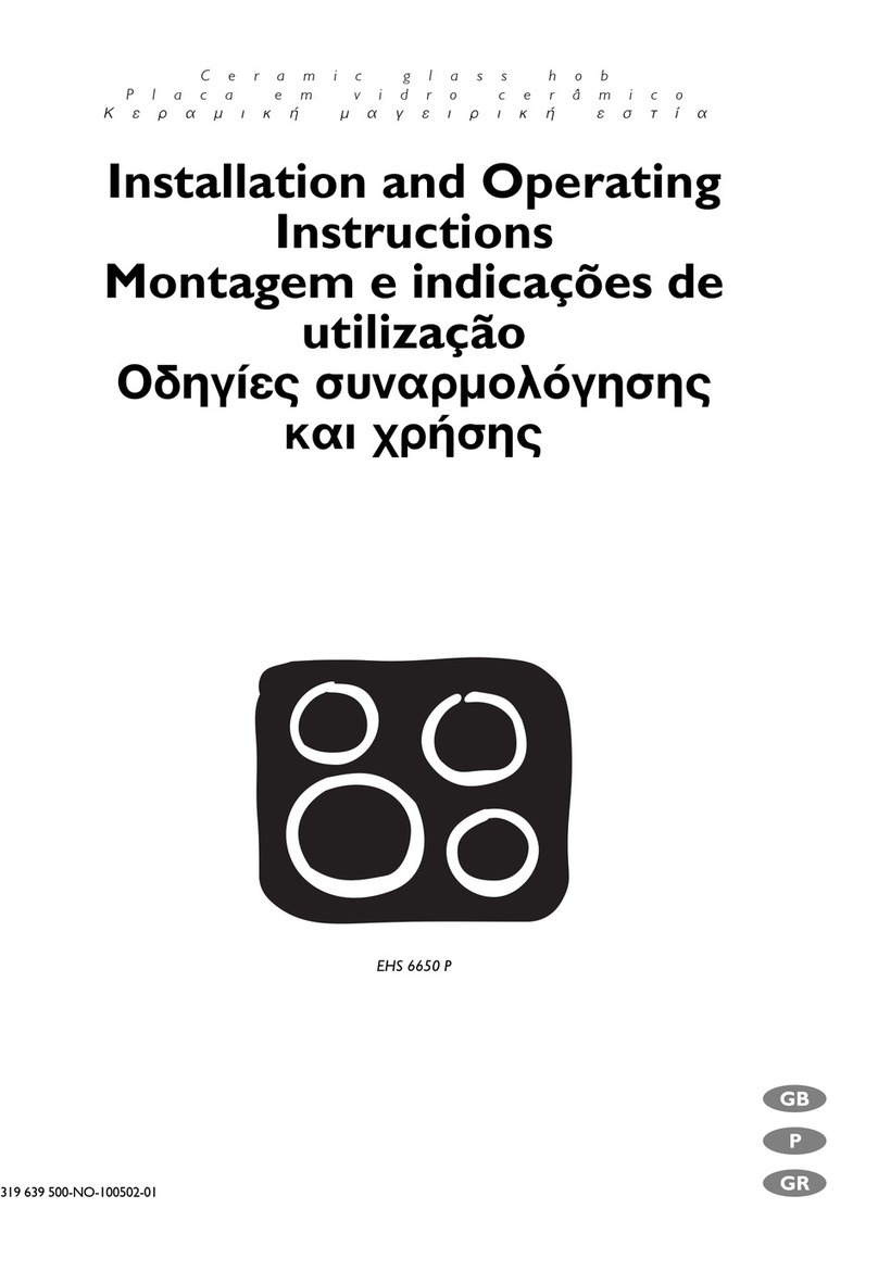 Electrolux EHS 6650 P Manuel utilisateur