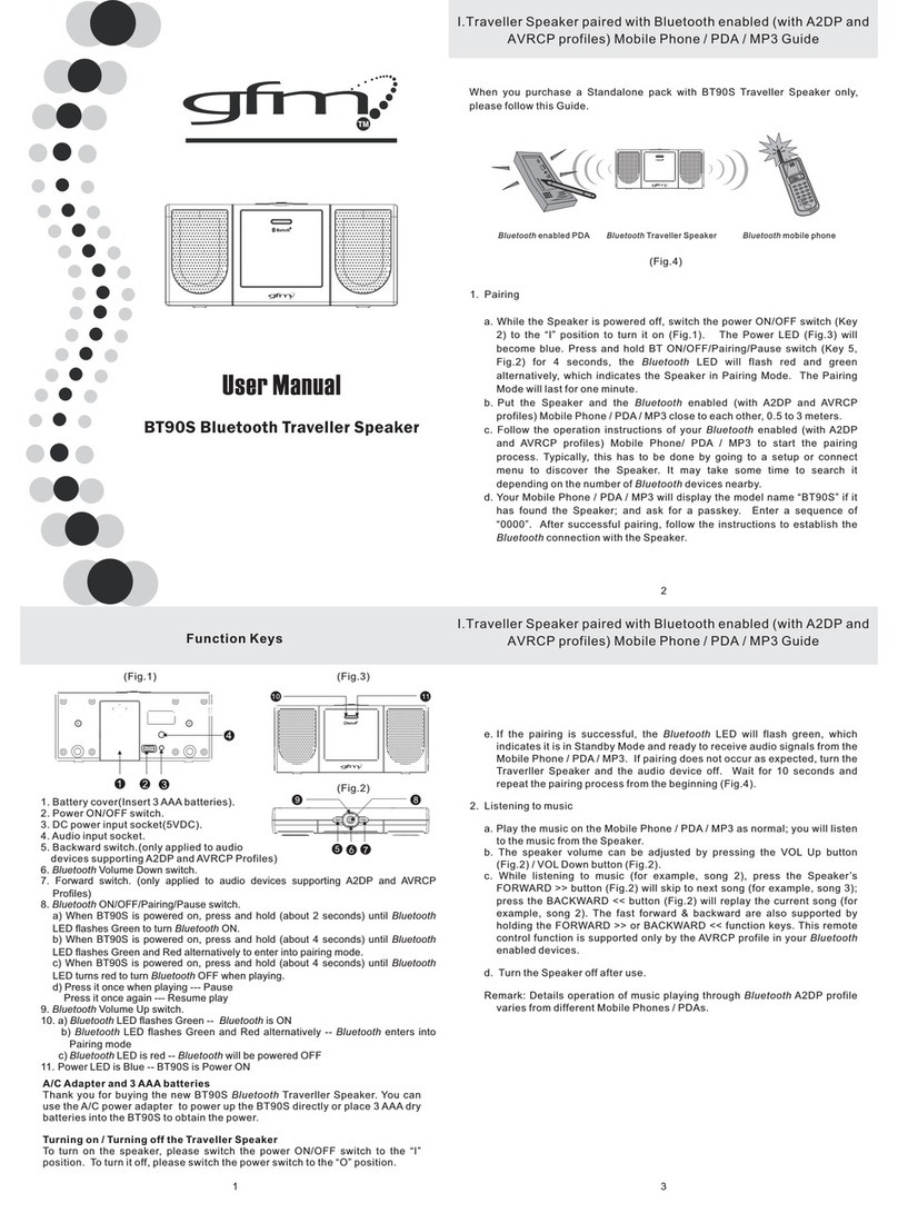 gfm BT90S Manuel utilisateur gfm BT90S Manuel utilisateur